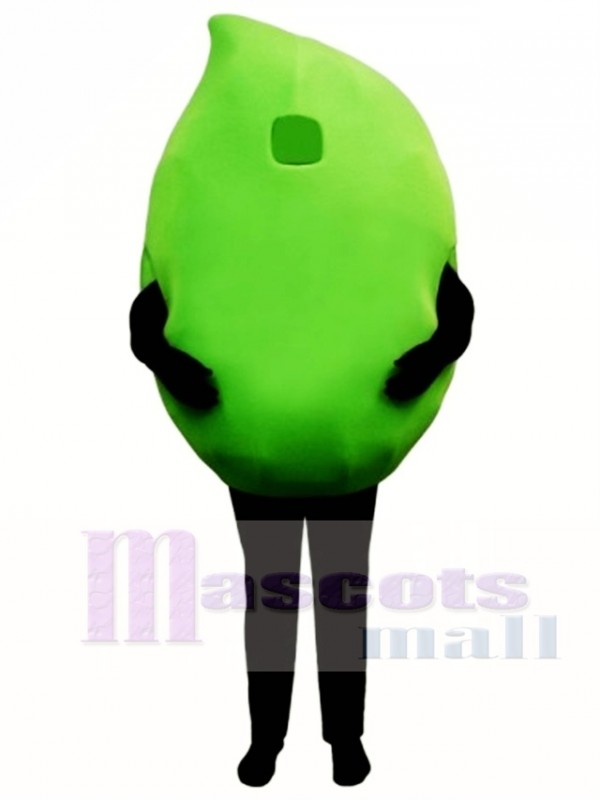 Big Lime Mascot Costume