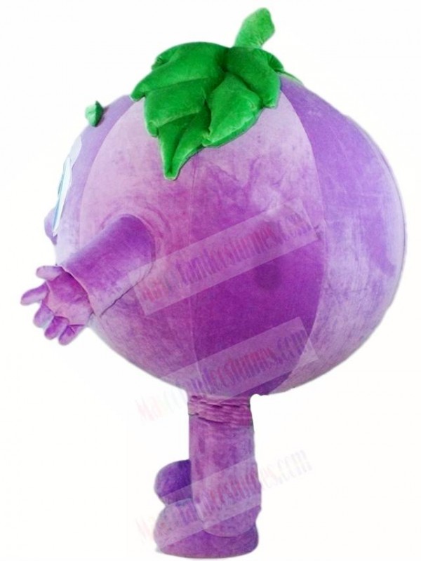 grape plush toy