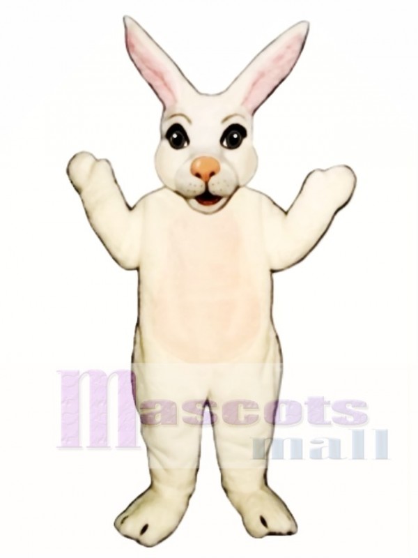 Easter Mr. Bunny Mascot Costume