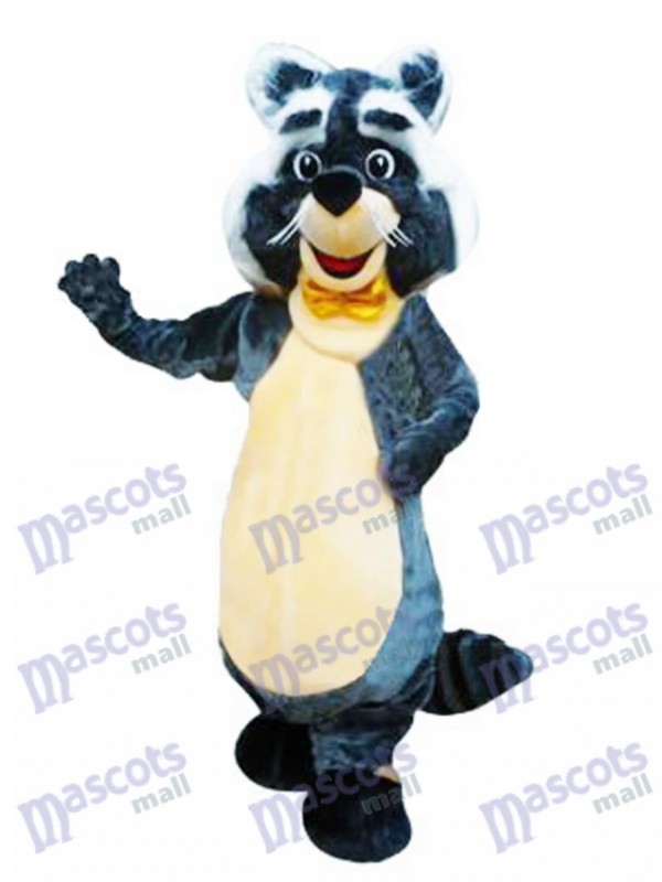 Rocky Raccoon Character Mascot Costume Cartoon
