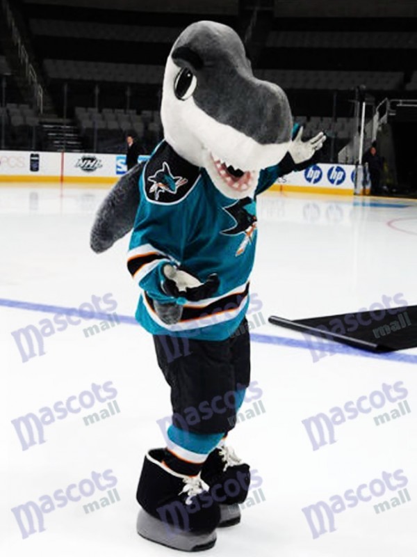 San Jose Sharks Have a New Cute Mascot - 96.5 KOIT