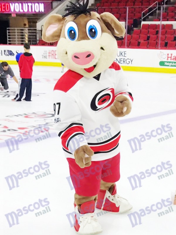 Why is Stormy, the Carolina Hurricanes' mascot, a pig?