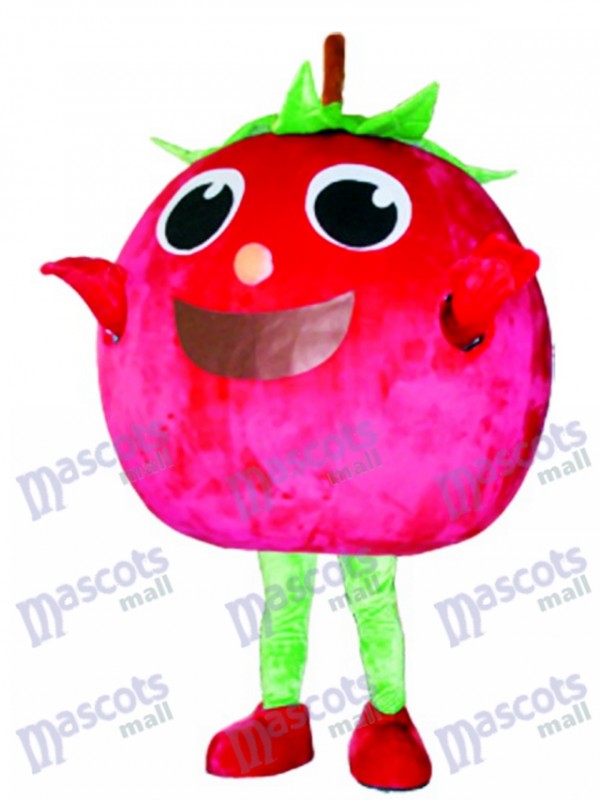 Red Tomato Mascot Costume