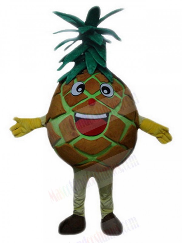 Pineapple mascot costume