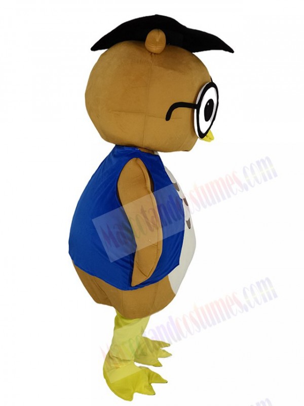 Owl mascot costume