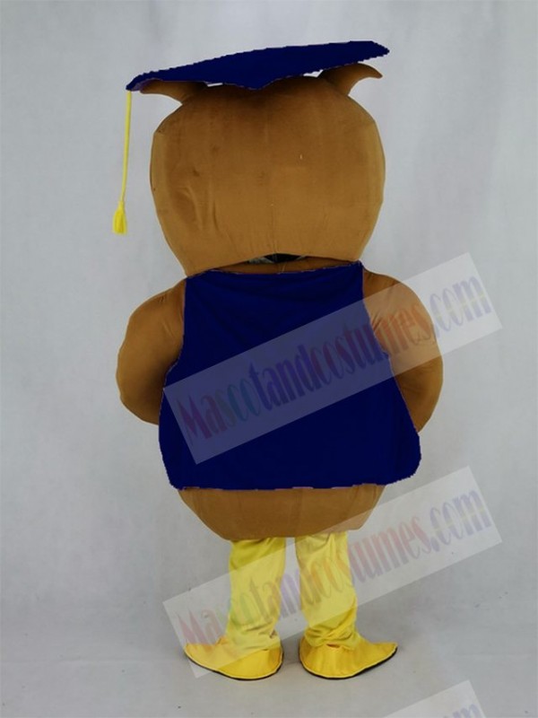 Owl mascot costume