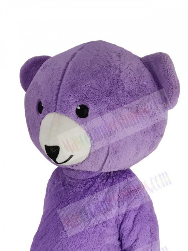 Teddy Bear mascot costume