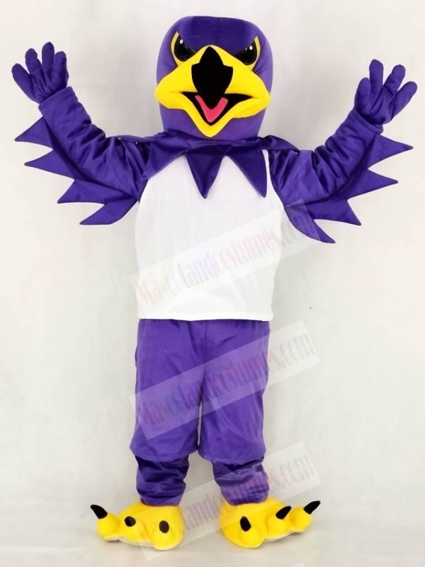 hawk mascot costume