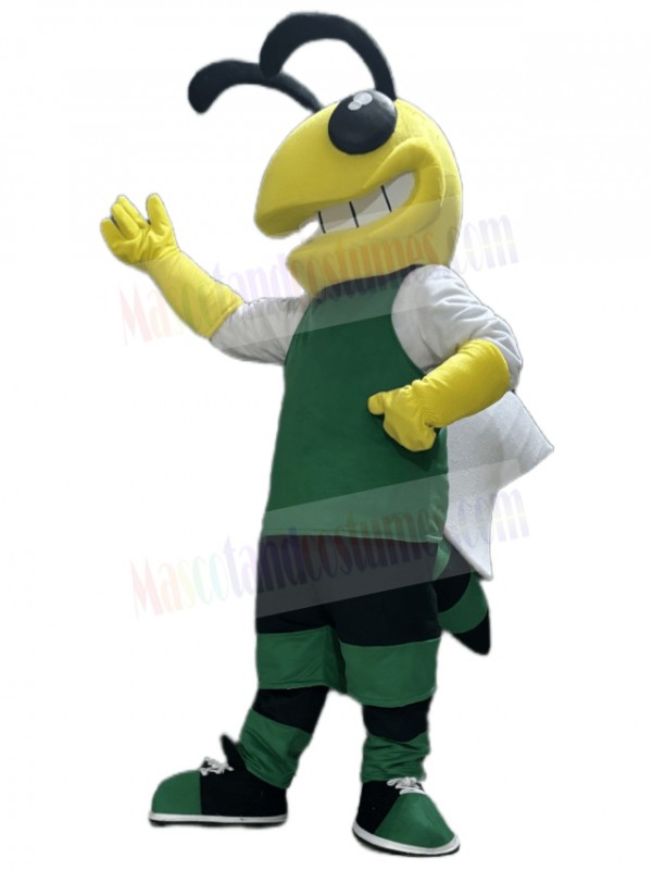 Hornet mascot costume