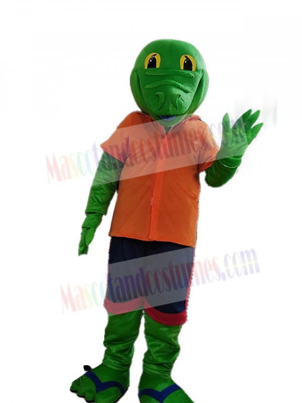 Lizard mascot costume