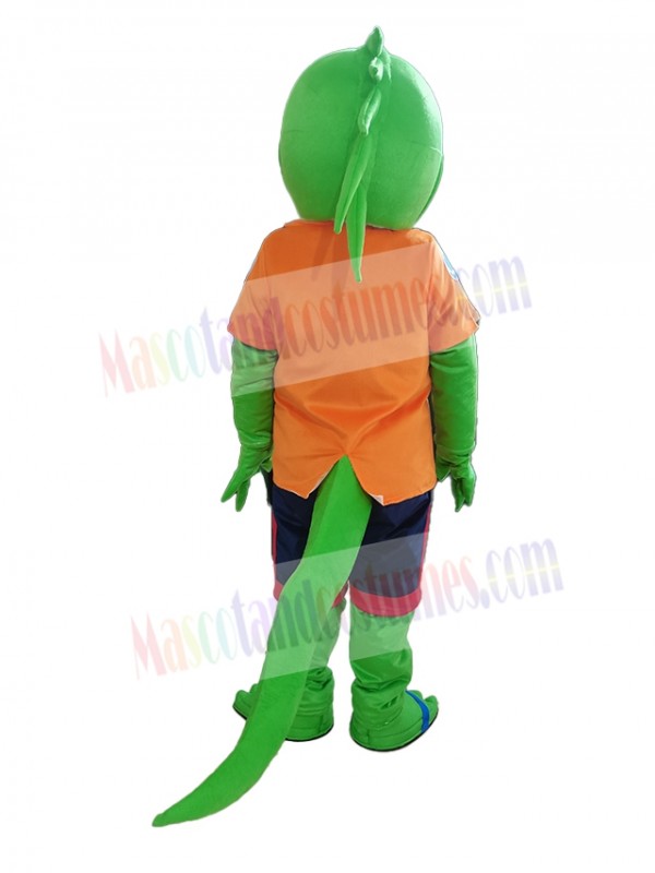 Lizard mascot costume