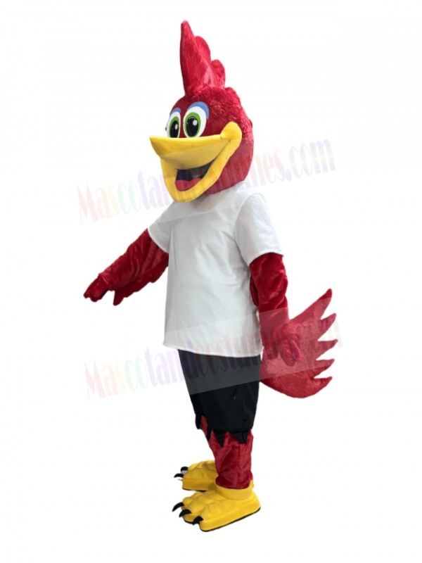 Roadrunner Bird mascot costume