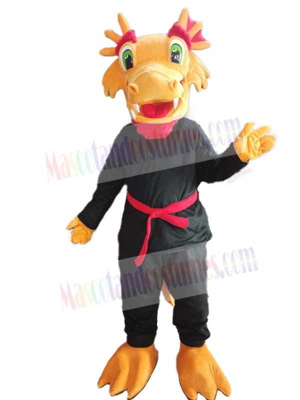 Dragon mascot costume