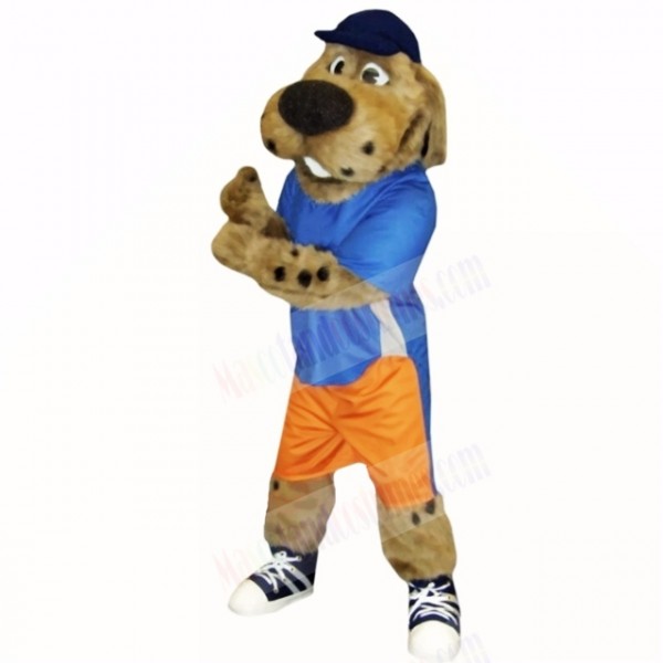 Sport Dog with Blue Hat Mascot Costumes School