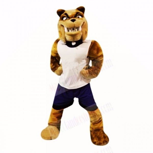 Sport Bull Dog with White Shirt Mascot Costumes Adult