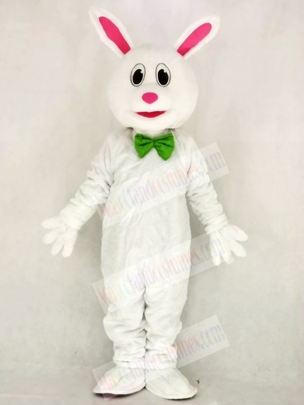 Funny Easter Bunny Rabbit Mascot Costume School 