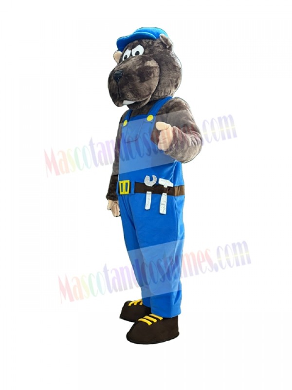 Gopher mascot costume