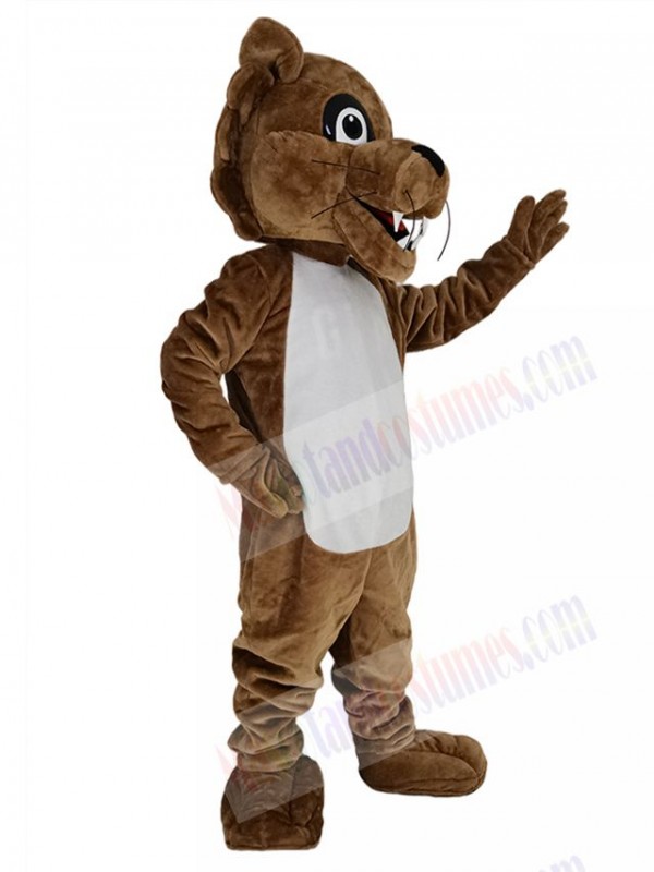 Cougar mascot costume