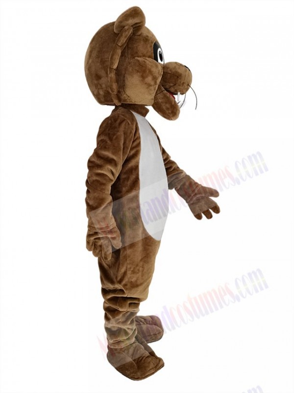 Cougar mascot costume