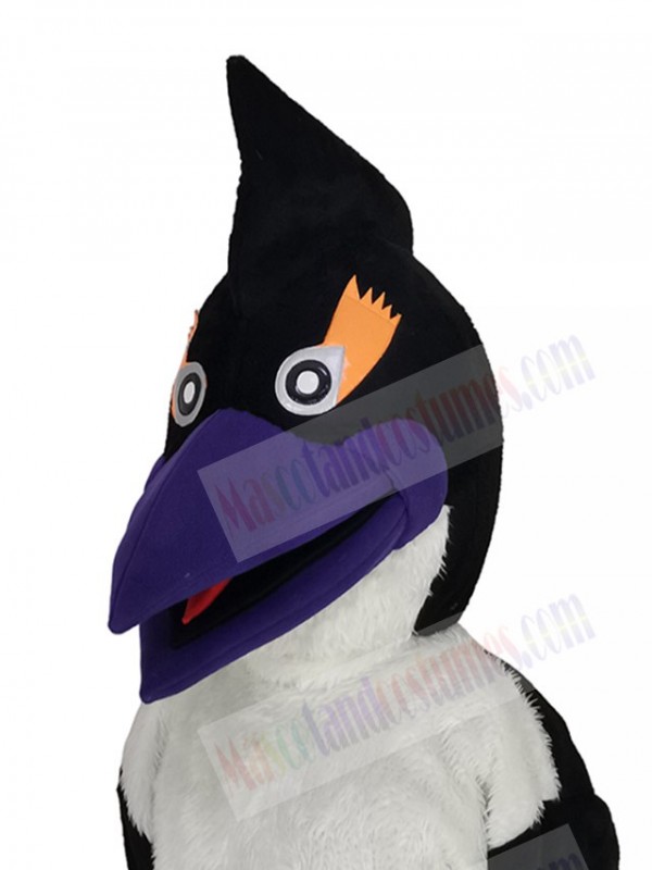Woodpecker Bird mascot costume