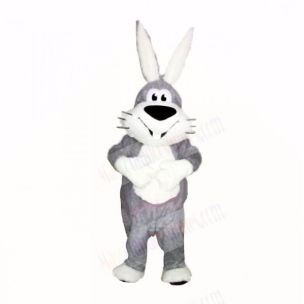 Smiling Grey and White Rabbit Mascot Costumes Cartoon