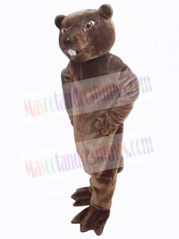 Beaver mascot costume