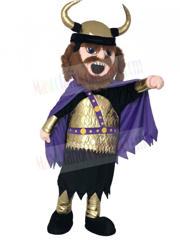 Viking Mascot Costume
