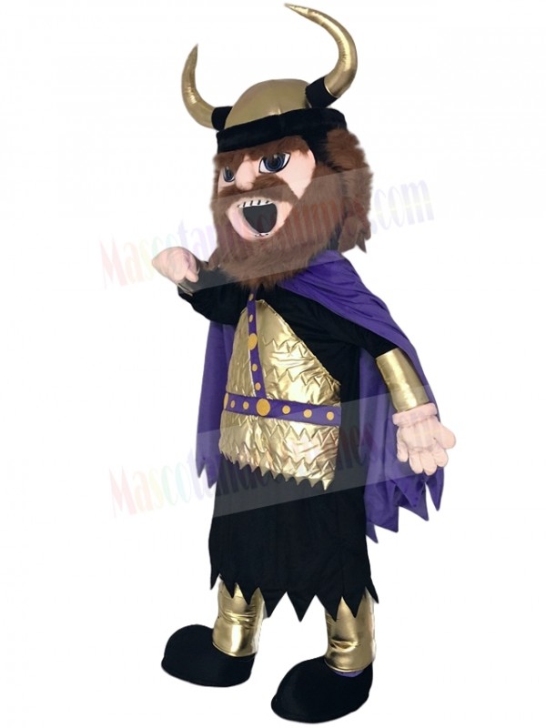 Viking Mascot Costume