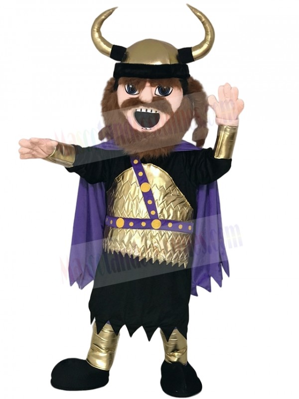 Viking Mascot Costume