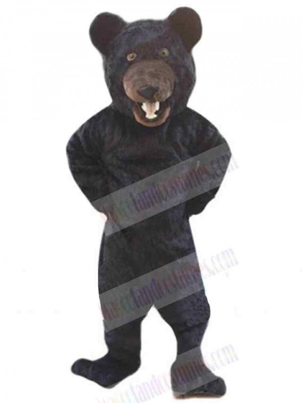 Bear mascot costume