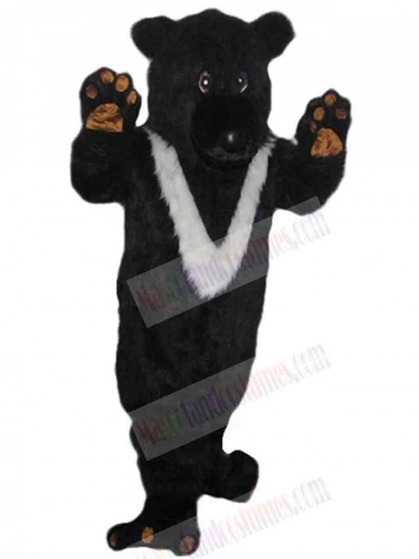 Bear mascot costume