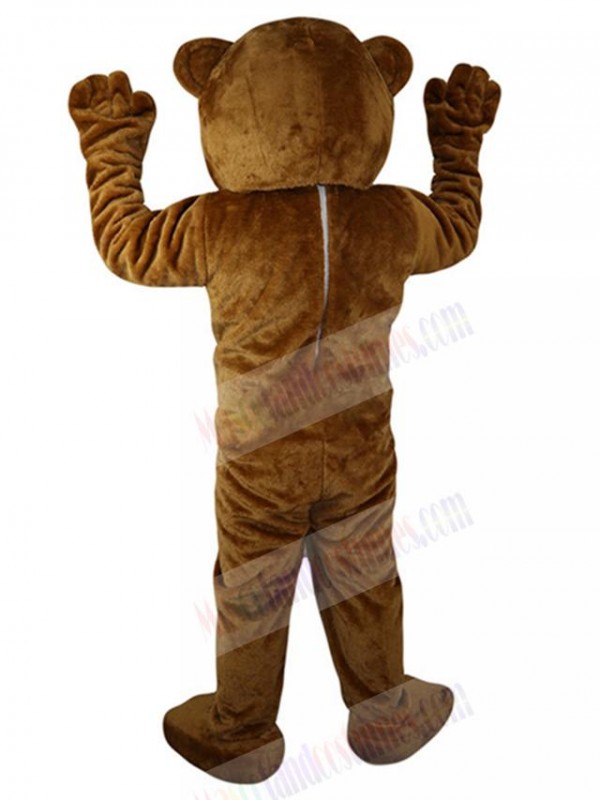 Bear mascot costume
