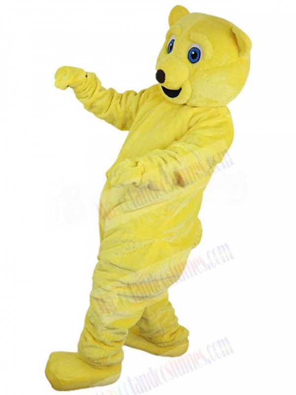 Bear mascot costume