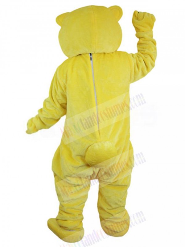 Bear mascot costume