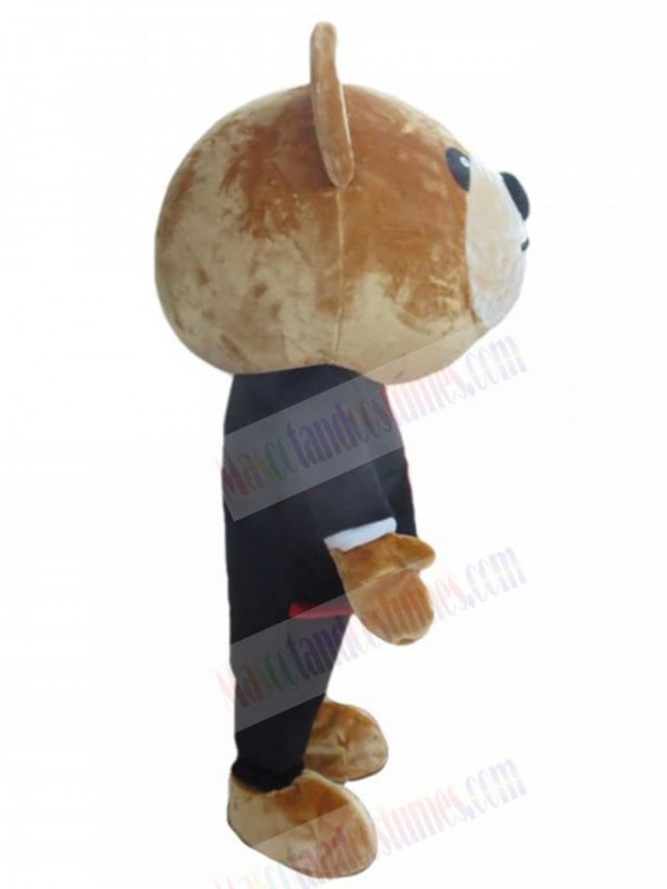 Bear mascot costume