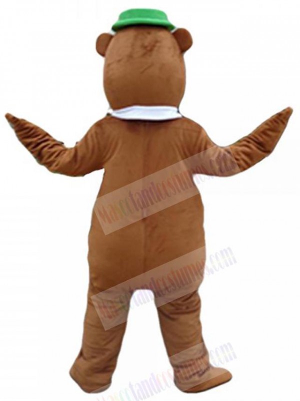 Bear mascot costume