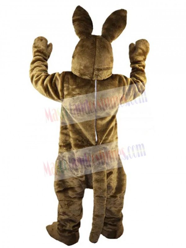 Easter Bunny Rabbit mascot costume
