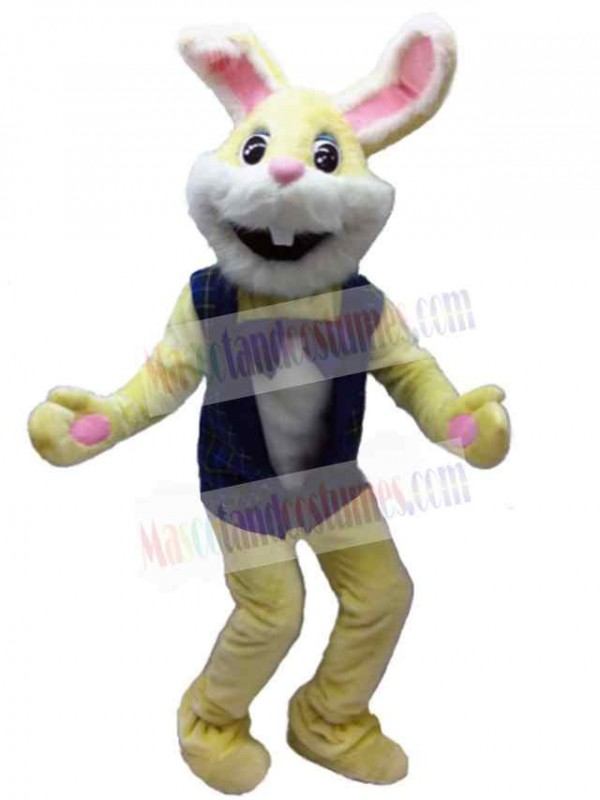 Easter Bunny Rabbit mascot costume