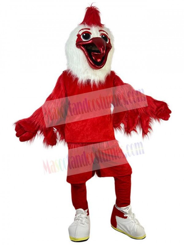 Bird mascot costume
