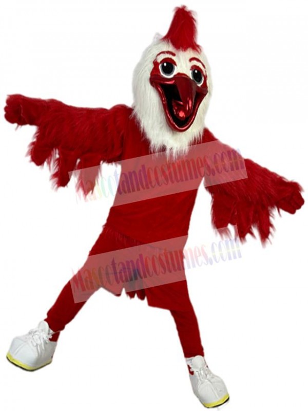 Bird mascot costume