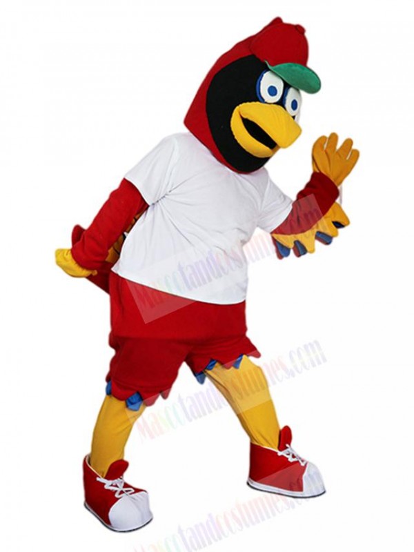 Eagle Hawk mascot costume