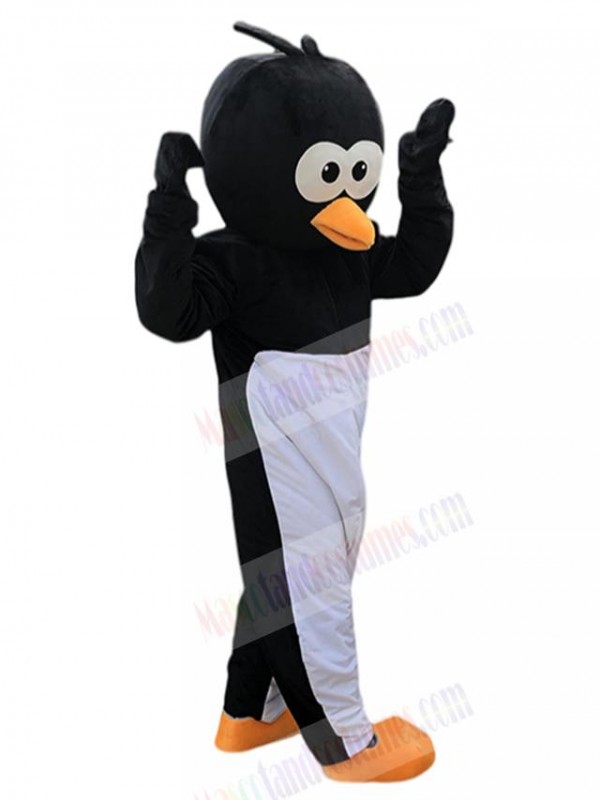 Crow Bird mascot costume