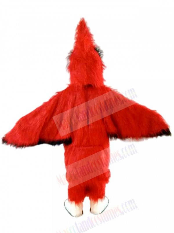 Bird mascot costume