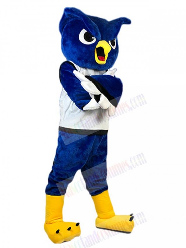 Owl mascot costume