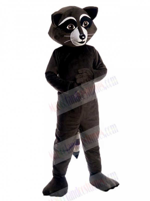 Raccoon mascot costume