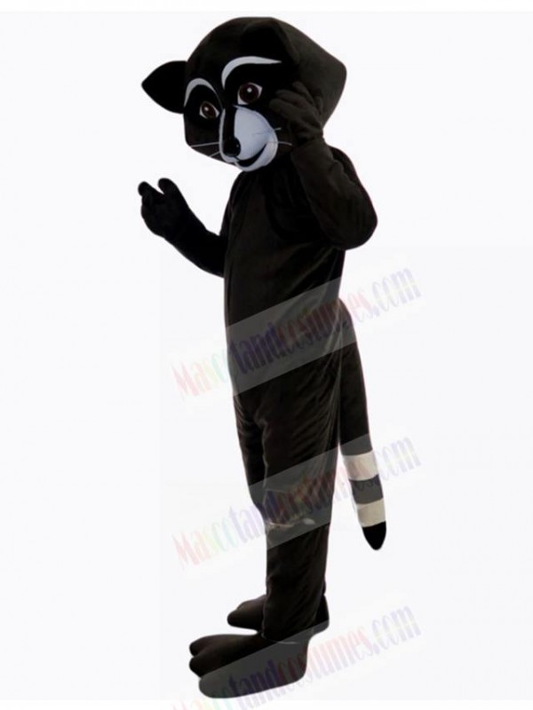 Raccoon mascot costume