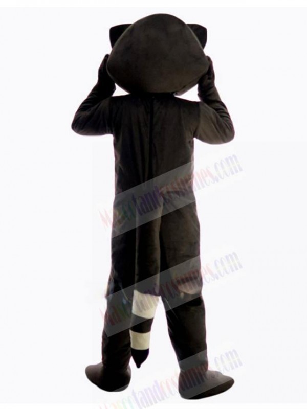 Raccoon mascot costume