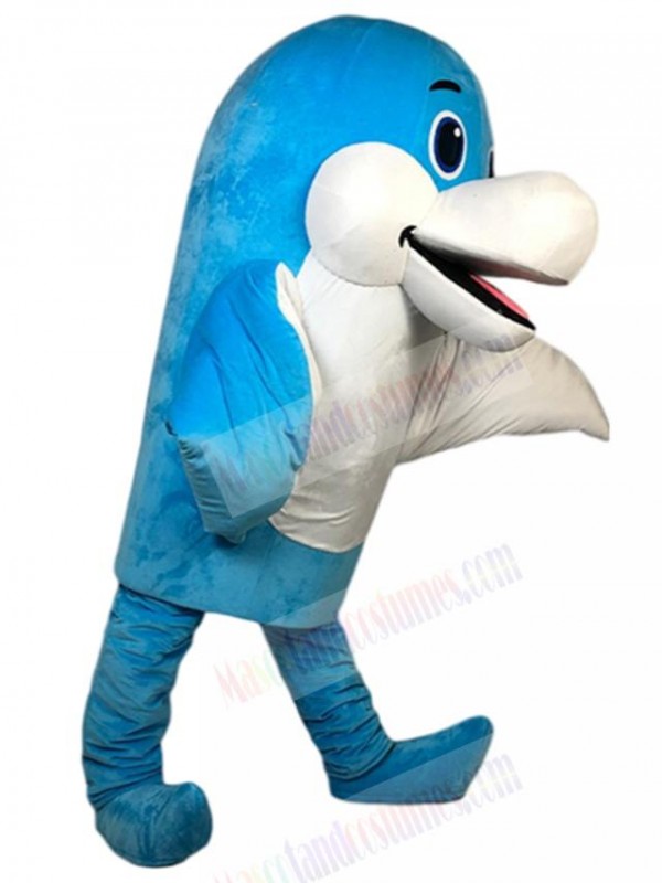 Dolphin mascot costume