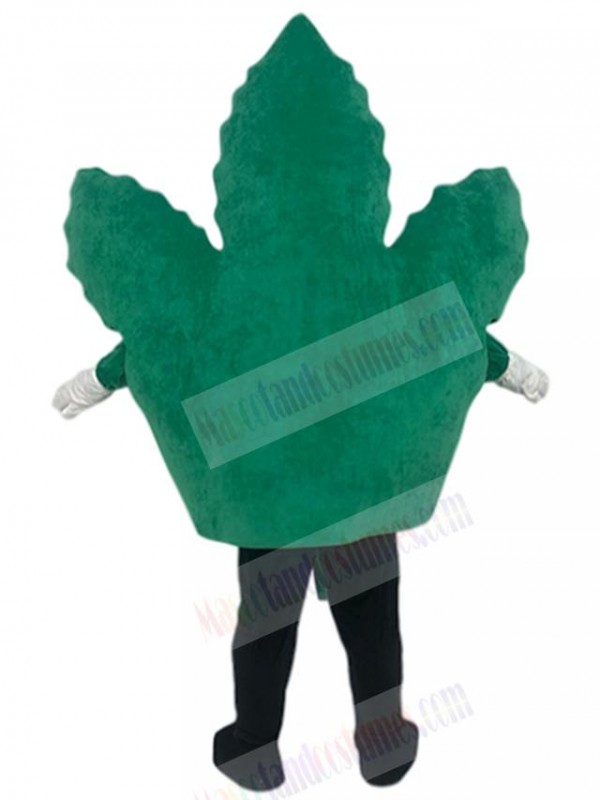 Leaf mascot costume