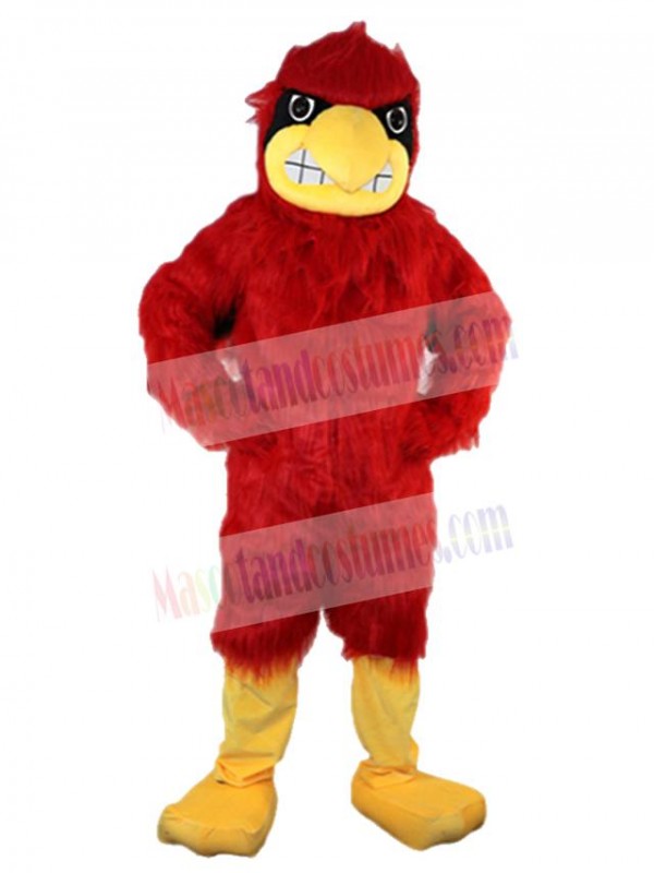 Eagle mascot costume